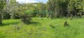 Продава ПАРЦЕЛ, с. Боснек, област Перник, снимка 11