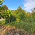 Продава ПАРЦЕЛ, град Габрово, Борово • 53000 лв. • 64934703 — Holmes.bg