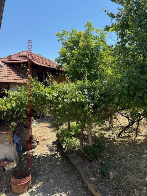 На продаж  Будинок Ловеч , Гозница , 42 кв.м | 36391375 - зображення [11]