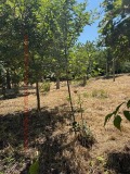 Продава КЪЩА, град Ловеч, Гозница • 55000 € / 107570.65 лв. • 24657913 10