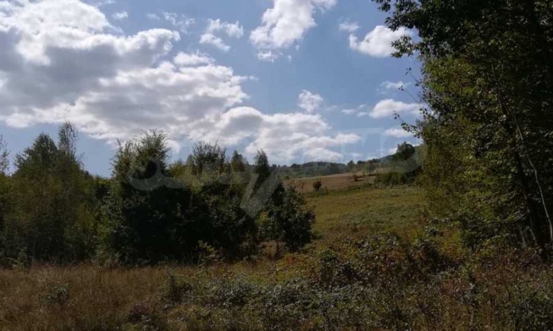 На продаж  Сюжет область Ловеч , Рибарица , 1112 кв.м | 44438375 - зображення [5]