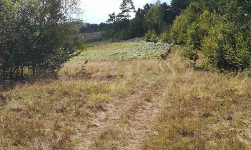 Продава ПАРЦЕЛ, област Ловеч, с. Рибарица • 22240 € • 65945594 — Holmes.bg