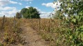 Продава ПАРЦЕЛ, с. Малка Смолница, област Добрич, снимка 1