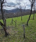 Продава ЗЕМЕДЕЛСКА ЗЕМЯ, с. Голяма Желязна, област Ловеч, снимка 9