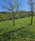 Продава ЗЕМЕДЕЛСКА ЗЕМЯ, с. Голяма Желязна, област Ловеч, снимка 7