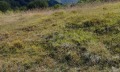 Продава ПАРЦЕЛ, област Ловеч, с. Рибарица • 22240 € • 65945594 — Holmes.bg