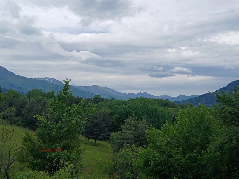 Продава  Къща област Габрово , с. Кръвеник , 142 кв.м | 80769986 - изображение [12]