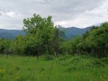 Продава КЪЩА, област Габрово, с. Кръвеник • 75000 лв. • 92342421 — Holmes.bg