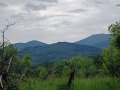 Продава КЪЩА, област Габрово, с. Кръвеник • 75000 лв. • 92342421 — Holmes.bg