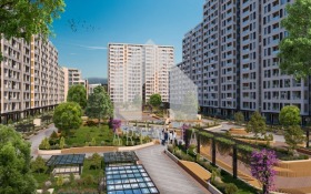 ����� ������� 2-�����,���� �������, ������