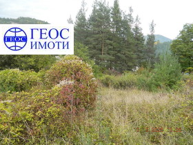 Eladó Cselekmény