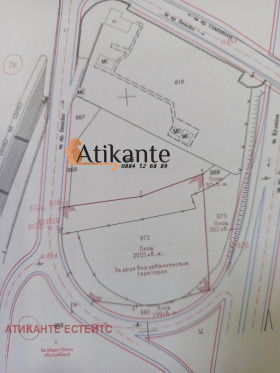 ����� ������� ������,������ ��� �79, ������ �����������