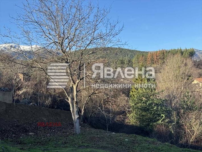 Продава ПАРЦЕЛ, гр. София, с. Панчарево, снимка 4 - Парцели - 53773865