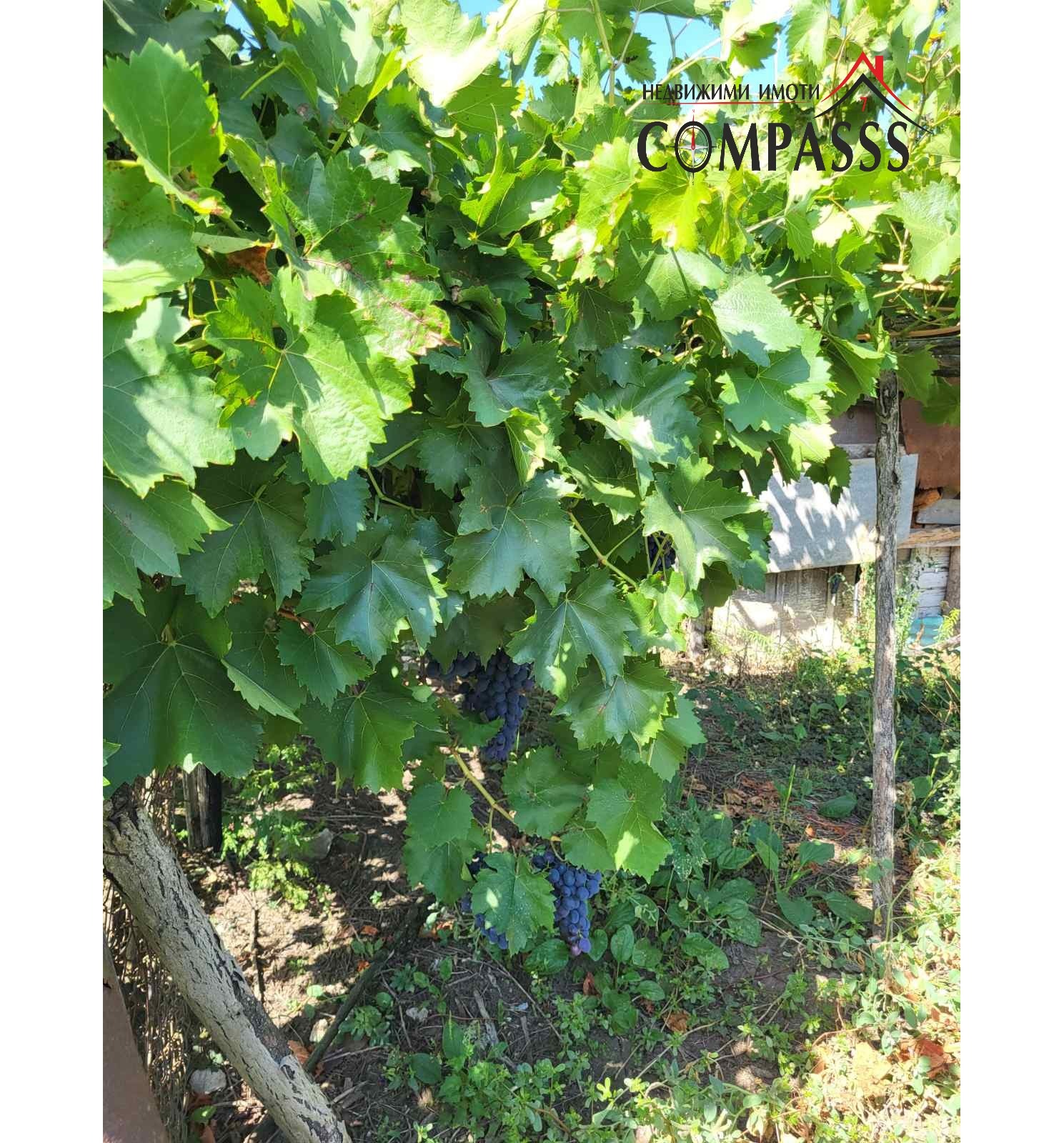 Продава КЪЩА, с. Сноп, област Добрич, снимка 14 - Къщи - 55961877