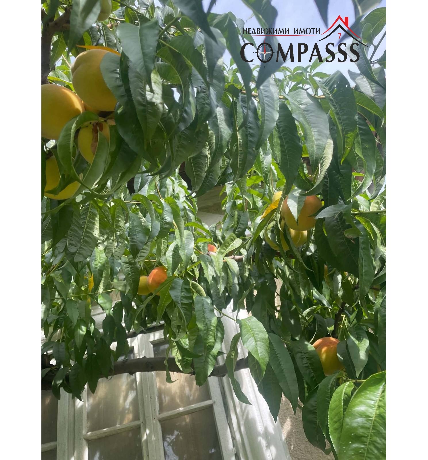 Продава КЪЩА, с. Сноп, област Добрич, снимка 17 - Къщи - 55961877