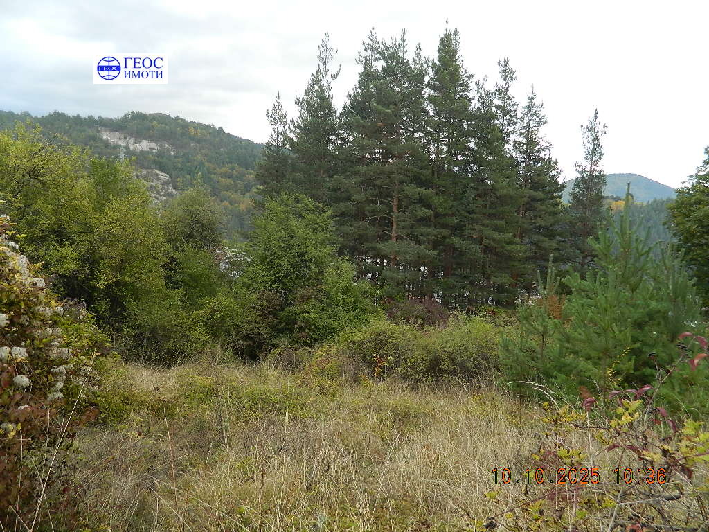 Продава ПАРЦЕЛ, гр. Смолян, Нов център, снимка 2 - Парцели - 52035850