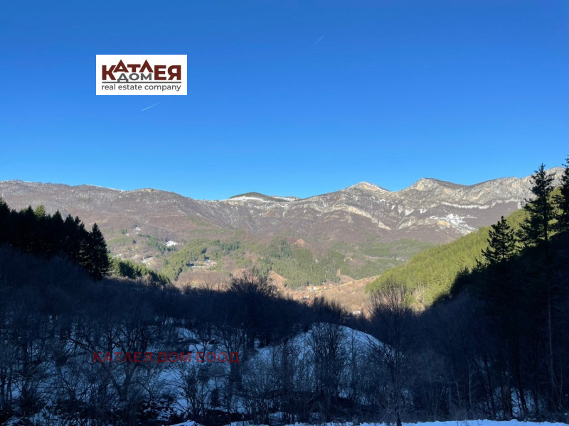 Продава ПАРЦЕЛ в област Враца, с. Згориград - 3885 кв.м / 89 386.60 € » 174 825 лв., КАТЛЕЯ ДОМ ЕООД