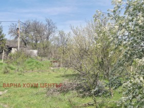 ����� ������� ������,�. ���������, ������ �����