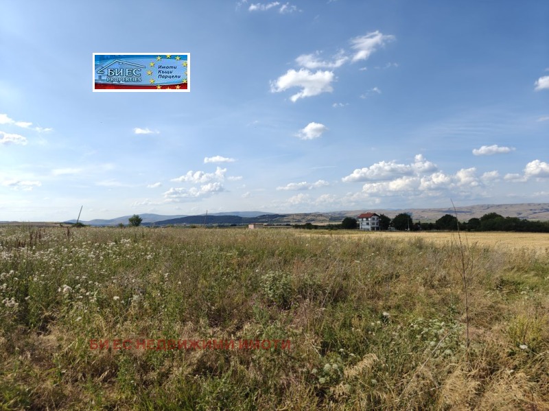 Til salgs  Plott region Sofia , Hrabarsko , 778 kvm | 62736867 - bilde [4]