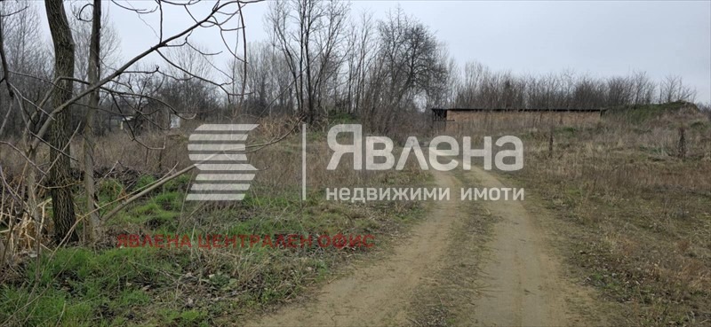 Продава ПАРЦЕЛ, с. Новоселци, област Видин, снимка 5 - Парцели - 53921057