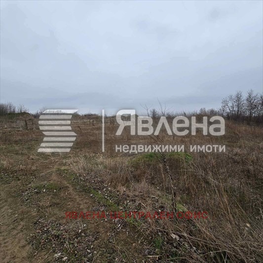 Продава ПАРЦЕЛ, с. Новоселци, област Видин, снимка 2 - Парцели - 53921057