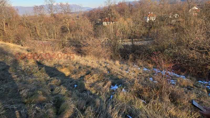 Продава ЗЕМЕДЕЛСКА ЗЕМЯ, с. Жиленци, област Кюстендил, снимка 4 - Земеделска земя - 53453880