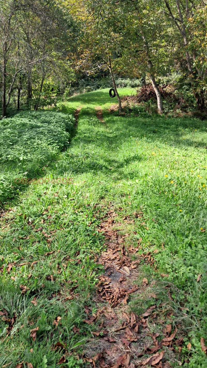 Продава ЗЕМЕДЕЛСКА ЗЕМЯ, с. Жиленци, област Кюстендил, снимка 3 - Земеделска земя - 53453880