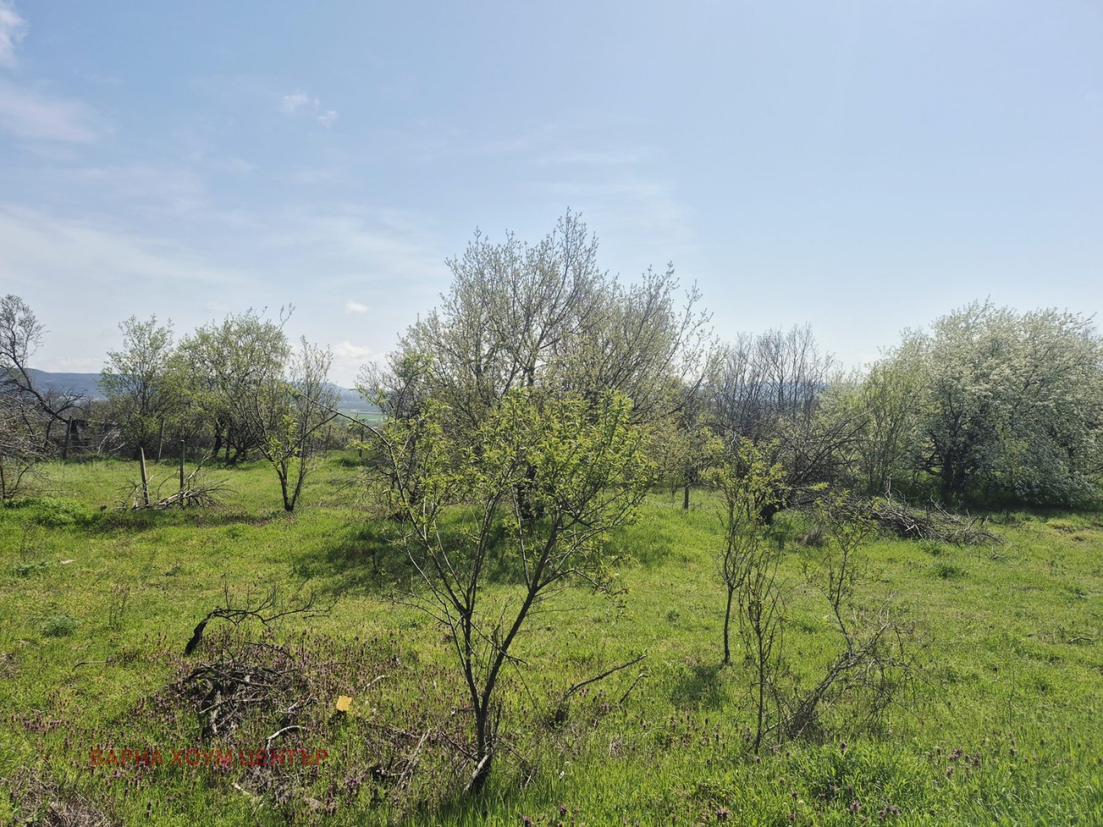 Продава ПАРЦЕЛ, с. Доброглед, област Варна, снимка 3 - Парцели - 54197860