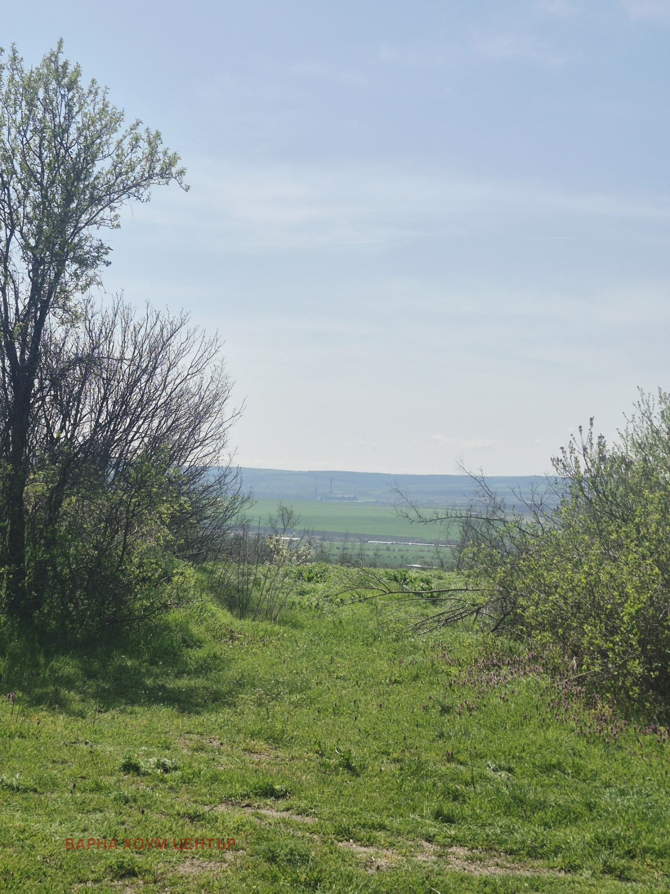 Продава ПАРЦЕЛ, с. Доброглед, област Варна, снимка 4 - Парцели - 54197860