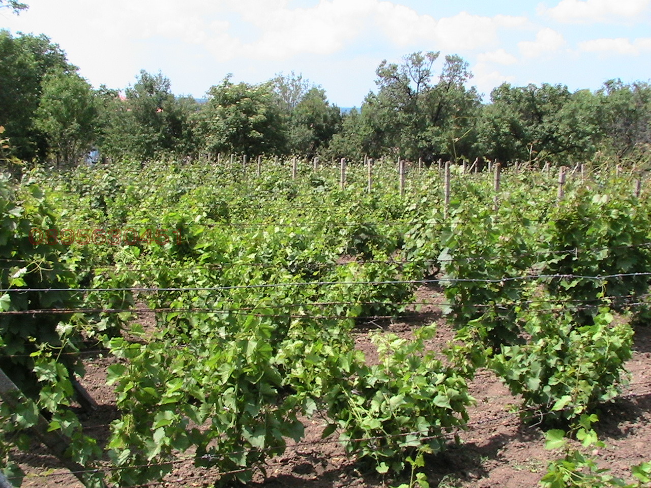 Продава ПАРЦЕЛ, с. Горица, област Бургас, снимка 2 - Парцели - 54228320