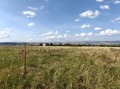 Продава ПАРЦЕЛ, област София, с. Храбърско • 50570 € • 24041347 — Holmes.bg