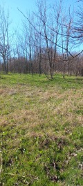Продава ПАРЦЕЛ, с. Опан, област Стара Загора, снимка 2
