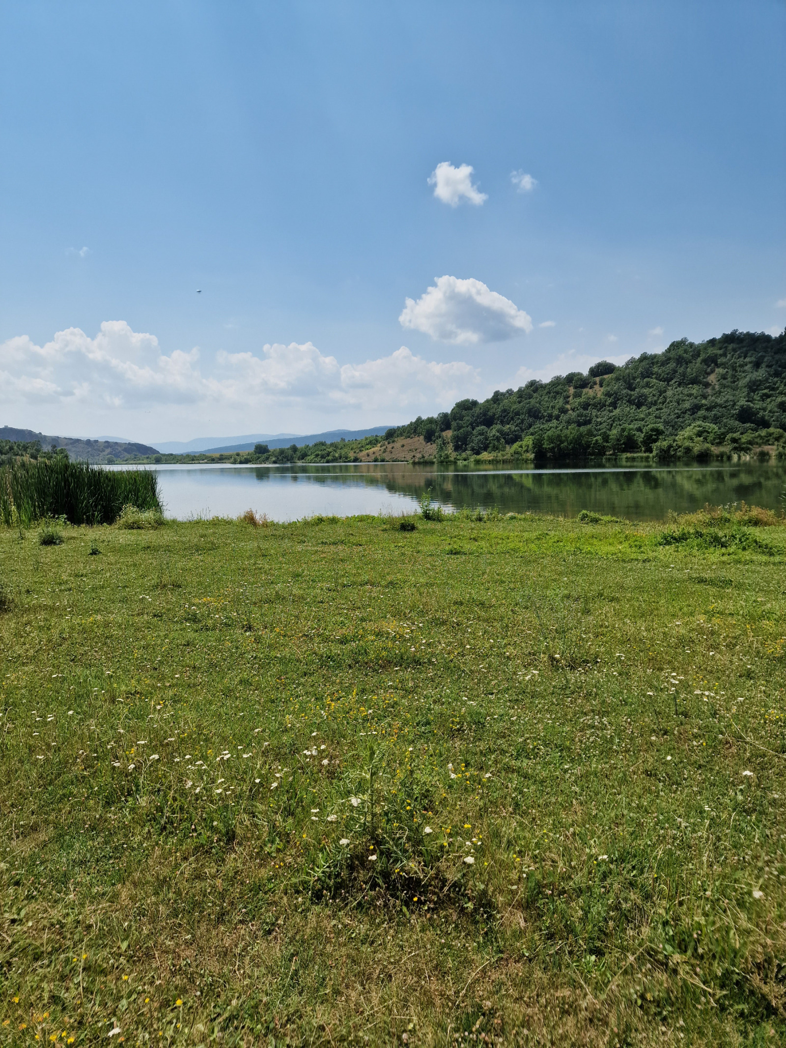 ������� ���������� ���� | Imot.bg � ����������� 1