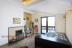 Studio Bansko, region Blagoevgrad 3