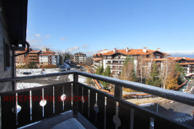 Studie Bansko, region Blagoevgrad 7