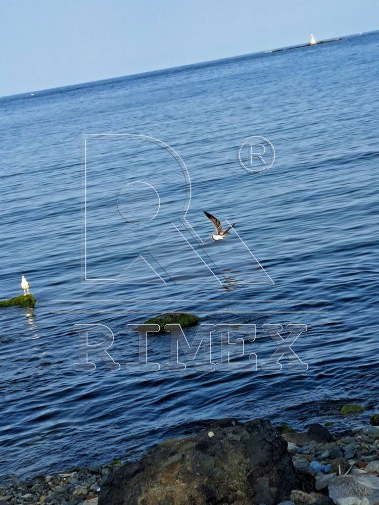 Продава  2-стаен, област Бургас, гр. Царево • 60 160 EUR • ID 46047663 — holmes.bg - [1] 