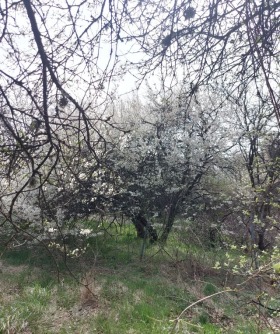 Οικόπεδο Ραδυλοβτση, περιοχή Σόφια 2