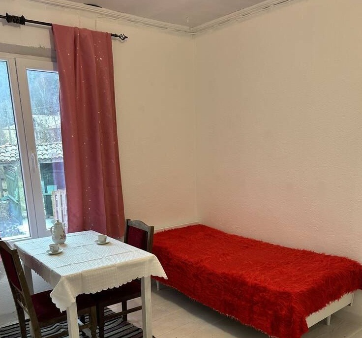 Продава КЪЩА, с. Свежен, област Пловдив, снимка 8 - Къщи - 53043432