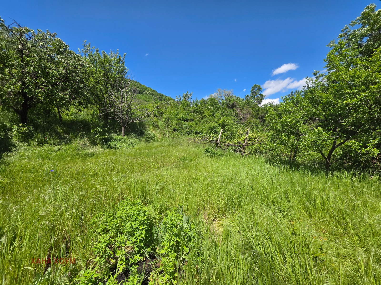 Продава КЪЩА, с. Врабево, област Ловеч, снимка 13 - Къщи - 54551959