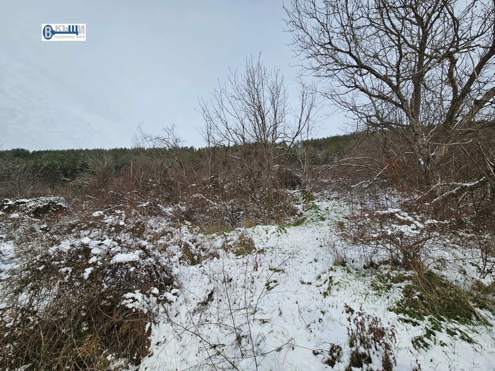 ������� ������ | Imot.bg � ����������� 2