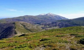 ������� ���� | Imot.bg � ����� ������ 2