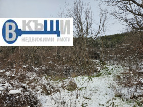 ����� ������� ������,�. �������, ������ ������ �������