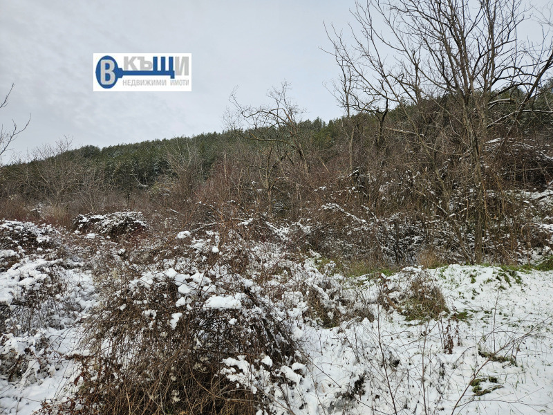 Продава ПАРЦЕЛ, с. Присово, област Велико Търново, снимка 5 - Парцели - 53148831