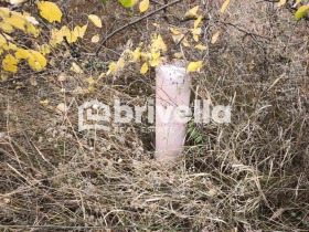 ������� ������ | Imot.bg � ����� ������ 8