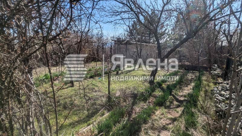 ������� ���� | Imot.bg � ����������� 7