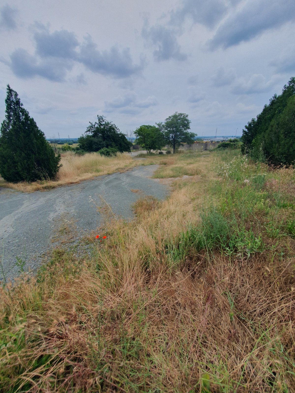������� ����� | Imot.bg � ����������� 8