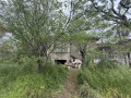 Продава КЪЩА, с. Бутан, област Враца, снимка 1