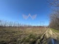 Продава ПАРЦЕЛ, гр. Пловдив, Беломорски, снимка 2