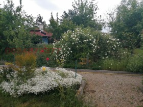 ������� ���� | Imot.bg � ����� ������ 10