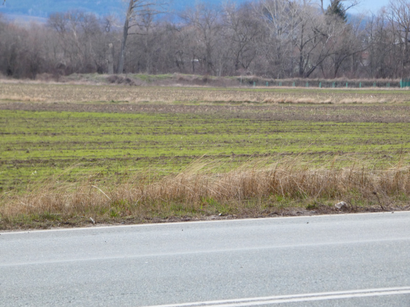 Продава ПАРЦЕЛ, гр. София, Република 2